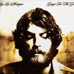 Ray La Montagne