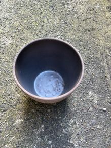 plant pot