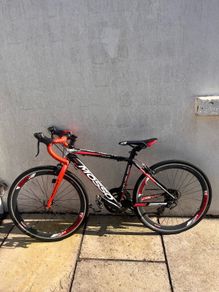Mosso cavalier 2018 Red+Black