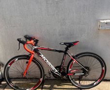 Mosso cavalier 2018 Red+Black