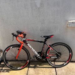 Mosso cavalier 2018 Red+Black