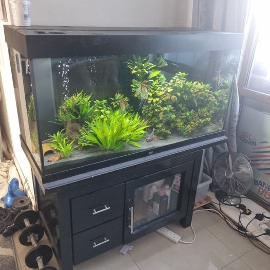 fish tank