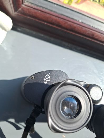binoculars
