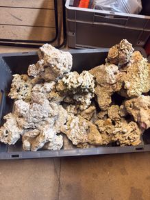 live rock fish tank