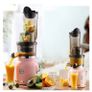 Juice Extractor for Nutrient Fruit & Vegetable Juicer Machine Image 4