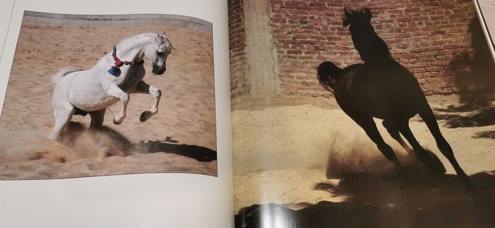 Grace And Beauty A Study Of The Horse Gabrielle Boiselle Large Hardback Book VGC