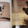 Grace And Beauty A Study Of The Horse Gabrielle Boiselle Large Hardback Book VGC Image 7