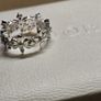 Pandora Bridgerton Herbarium & Bee Ring Size 56 Image 4