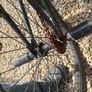 bmx bike Image 8