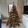 Christmas tree Image 6