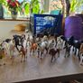 20 Schleich Horses Image 5