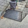 large dog crate Image 2