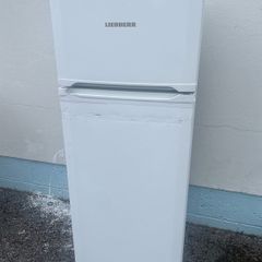 liebherr fridge freezer