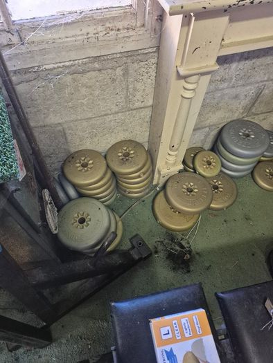 Gym weights