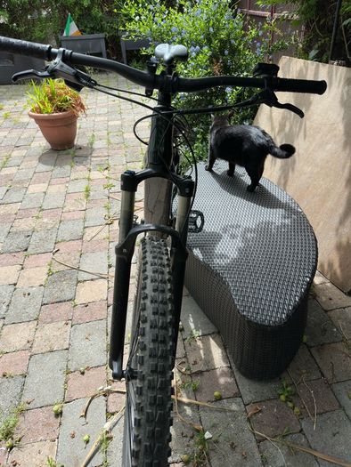 Giant fathom e+ pro 29 size L