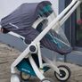 Buggy Greentom Image 7