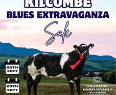 Online Belgian blue sale