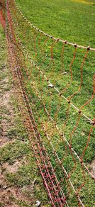 poultry netting