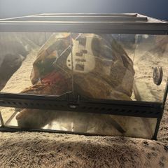 reptile tank