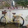 Txed Vintage Leopard print Bicycle Image 3