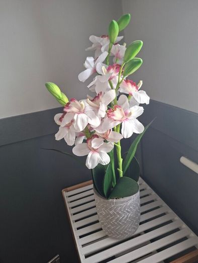 orchard flower fake