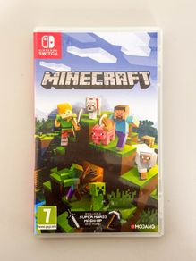 Minecraft Nintendo Switch