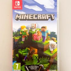 Minecraft Nintendo Switch