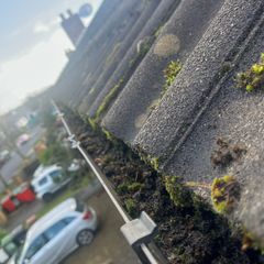 gutter cleaning dublin