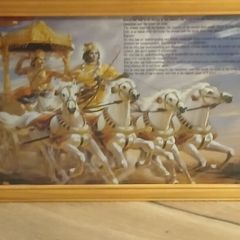 Beautiful Picture