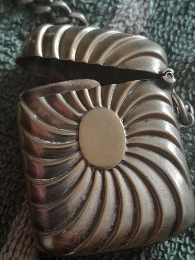 vintage vesta case