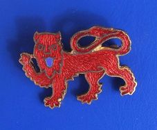 GIRL GUIDES SURREY COUNTY (UK Girl Guiding) - Girl Guide's county association membership enamel badge (1980's)