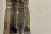 water bottle gym