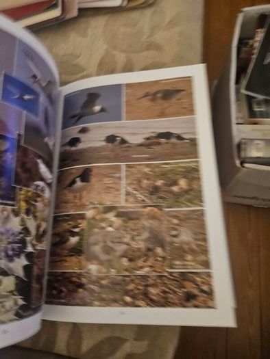 Wexford's Wild Heritage. By Alan Maguire- Christopher J. Wilson- Don Conroy. First Edition Large Volume Hardback With Dustjacket In Good Condition.  See Photos For Same.