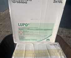 lupo