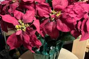 Large Christmas Artificial Plant