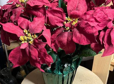 Large Christmas Artificial Plant