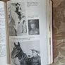 The Man Who Listened To Horses. By Monty Roberts. Hardback In Very Good Condition. Image 9