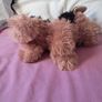 3 x Jo jo siwa plush toys 2 small 6" and a 9" puppy 2017 all in excellent condition Image 10