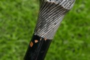 Antique Silver Handled Walking Stick. Twisted Silver Finish Handle