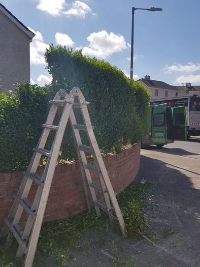lawn care landscape and garden services