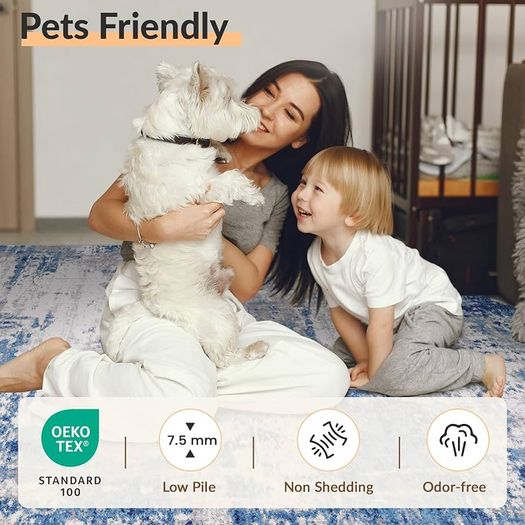Washable Rugs Living Room 150x210 cm Modern Abstract Rug with Soft Low Pile Vacuum Friendly Non Slip Backing Minimalist Carpet