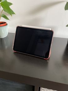 Apple iPad mini