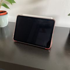 Apple iPad mini