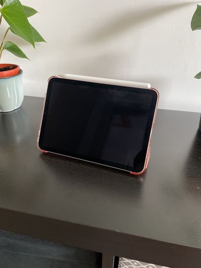 Apple iPad mini