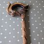 Walking stick Image 5