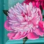 Original Oil Painting Image 3