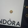 Brand new Pandora bracelet with charms Image 6