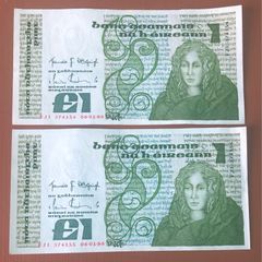 Two irish one pound punt notes
