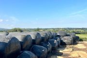 Maize - Beet Bales