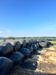 Maize - Beet Bales
